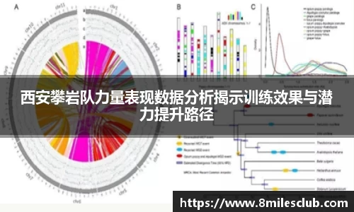 西安攀岩队力量表现数据分析揭示训练效果与潜力提升路径
